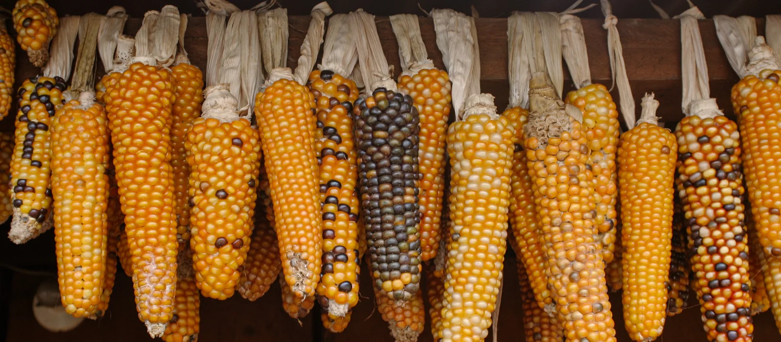 Plato de comida tradicional